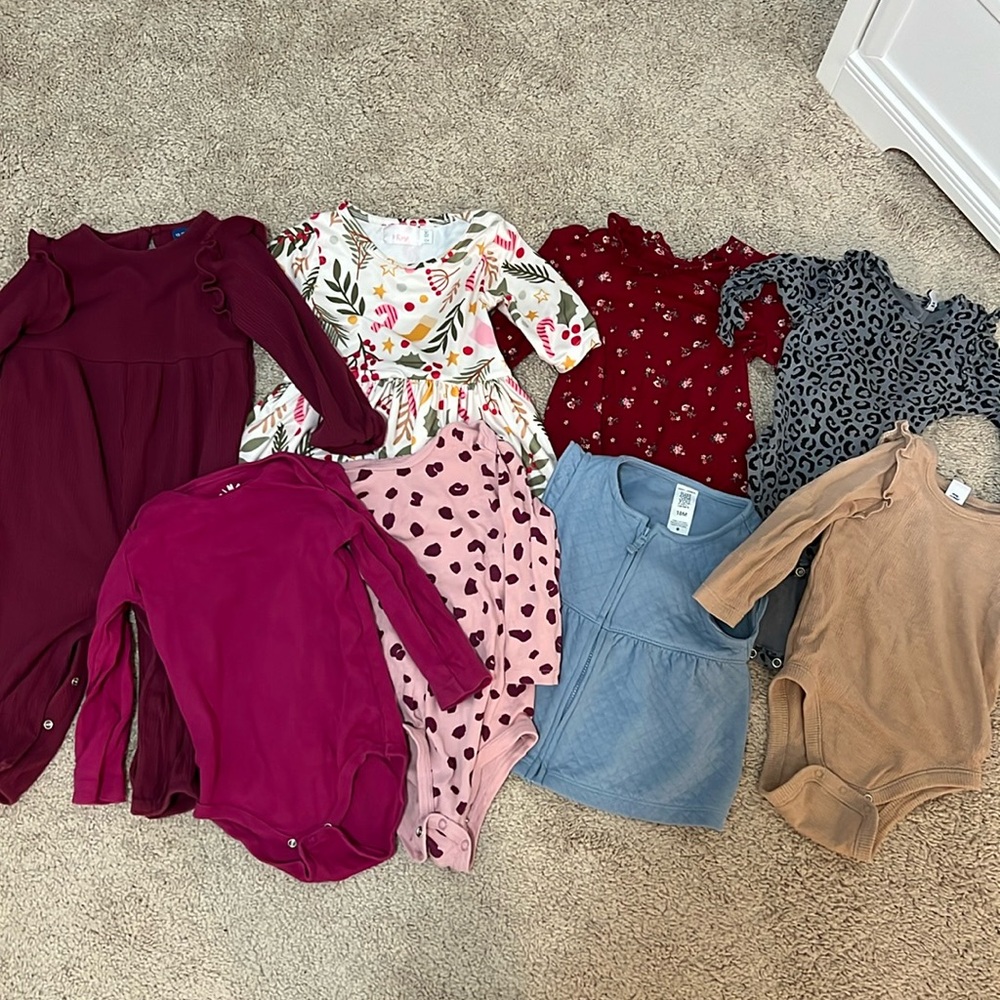 Fall/Winter baby girl clothes size 12-18M